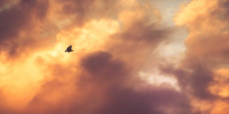 游戏资讯24小时:网络游戏动态、专业资讯与电竞热潮全景解析