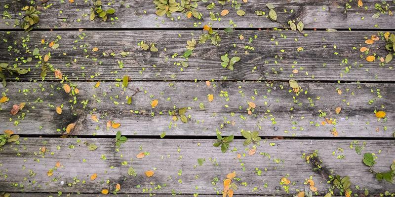 游戏资讯55：电竞浪潮、单机复兴与玩家社区的共生新纪元