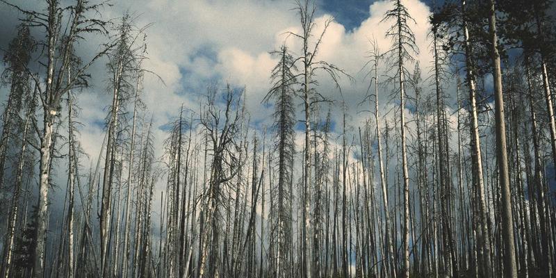 游戏资讯69：深度评测与实战攻略，助你制胜手游世界