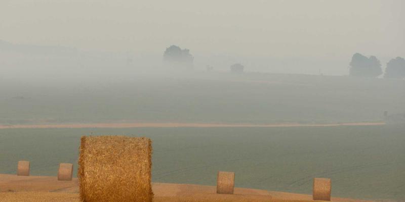 游戏资讯94：掌握最新手游动态与高阶攻略，制胜2024移动游戏战场