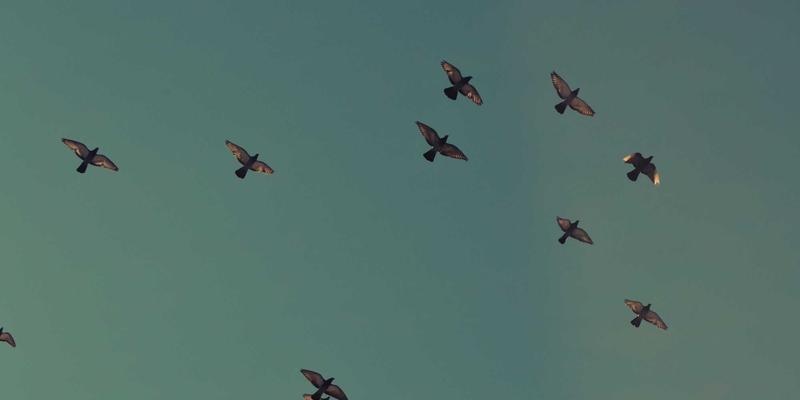 游戏资讯95:玩家社区、评测与攻略如何重塑现代游戏体验