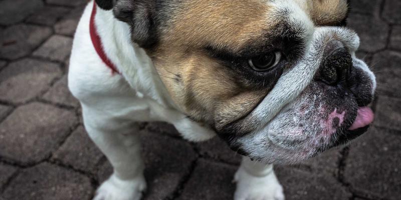 游戏资讯 vs 游戏评测 vs 手机游戏：玩家如何获取有效信息？