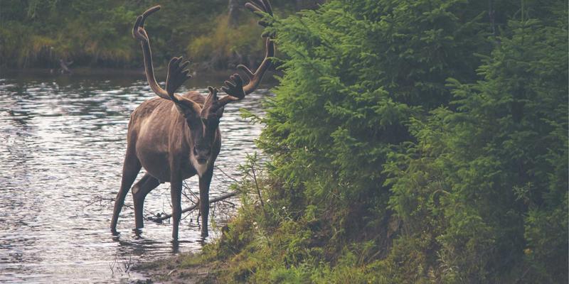 AI如何重塑游戏开发：从智能NPC到无限关卡，手机游戏与电竞的新纪元
