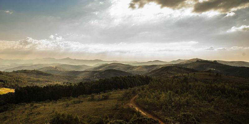 Unity与Unreal引擎对决：独立游戏与3A大作的选择策略与玩家社区生态