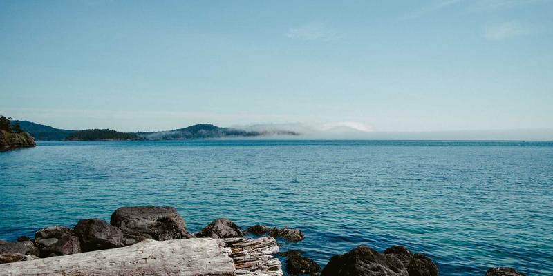 单机游戏与电竞新纪元：VR触觉反馈、模拟方向盘与人体工学电竞椅如何重塑玩家体验