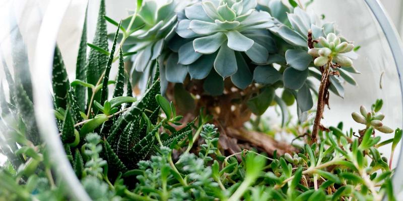 次世代游戏引擎对决：虚幻5与Unity 2023如何重塑电竞、攻略与玩家社区生态