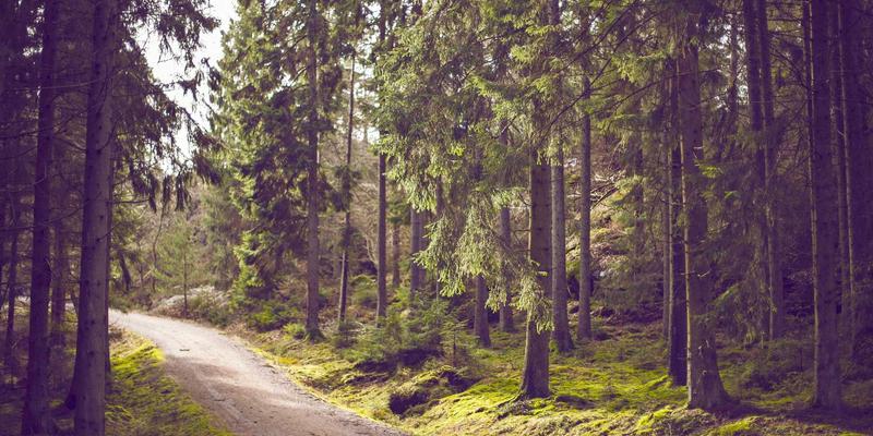 游戏叙事设计新趋势：非线性剧情与玩家选择如何重塑手机游戏与电竞体验