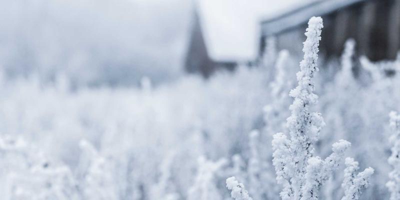 游戏无障碍设计深度评测：视障、听障及运动障碍玩家的创新功能全解析