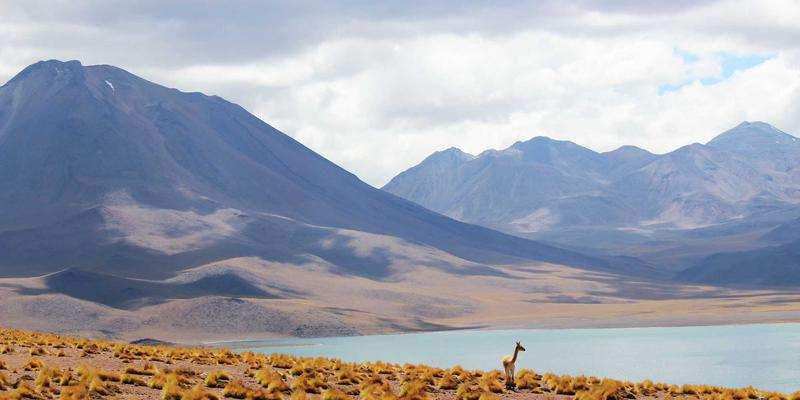 游戏硬件深度评测：下一代显卡与CPU如何重塑单机游戏体验