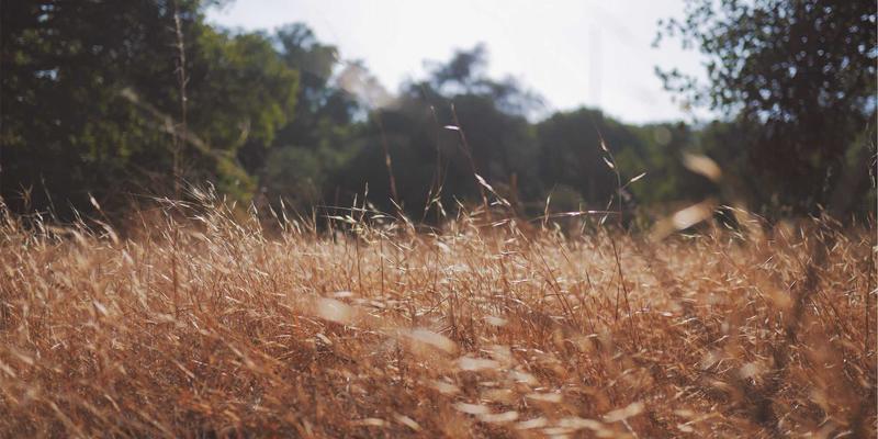 游戏评测新视角：从网络游戏到电竞，如何通过世界观、角色与剧情传递多元文化价值观