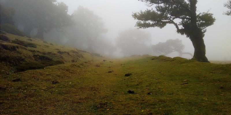 跨越文化鸿沟：网络游戏剧本创作中的本地化难题与玩家社区攻略